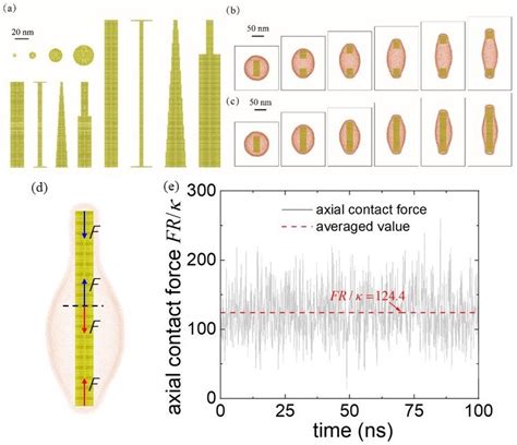 coarse scheme prove in force