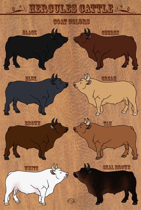 Coat Color Cattle