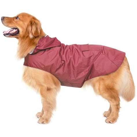 Coat To Keep Dog Clean