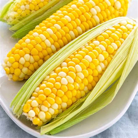 Cob Meaning Corn