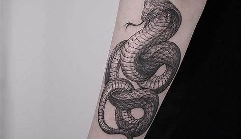 Arm Tattoos Snake, Small Snake Tattoo, Fake Tattoos, Body Art Tattoos