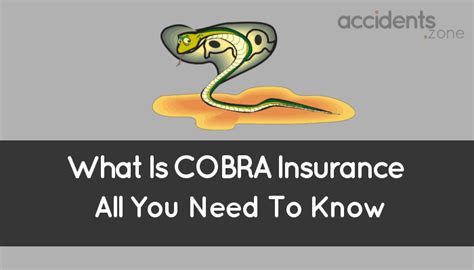 Cobra Insurance Georgia: A Comprehensive Guide In 2023