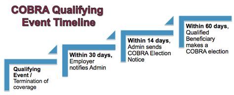 Cobra Offer Timeline