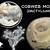 cobweb mold on mushrooms
