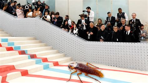cockroach at met gala