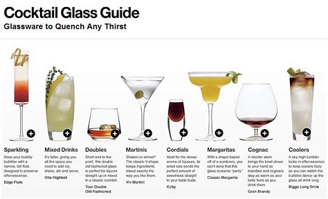 Cocktail Glasses Guide