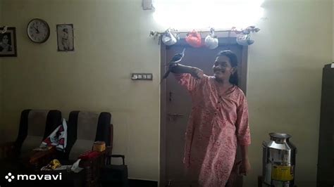 Vinesh Sitcom 77 Exclusive Content: Latest Updates 2026