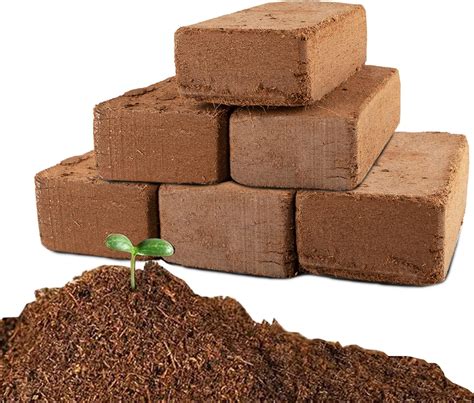 Coco Peat Bricks Near Me