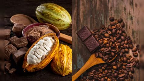 Cocoa And Cacao The Same