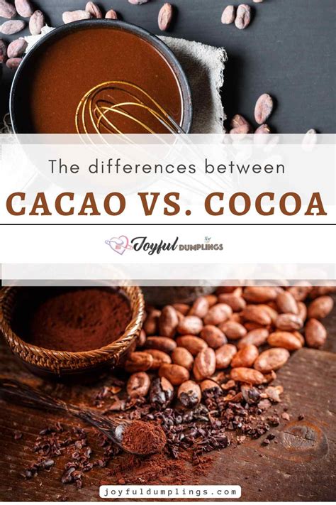 Cocoa And Cocoa Photos