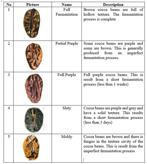 Cocoa Beans Quality Specifications