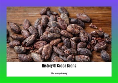 Cocoa Definition In History