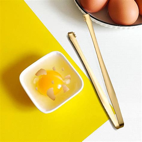 Cocoa Eggshell Fragment