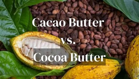 Cocoa Extract Vs Cocoa Butter