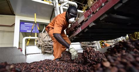 Cocoa Processing Co Ltd