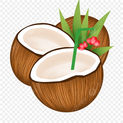 Coconut Clipart Transparent