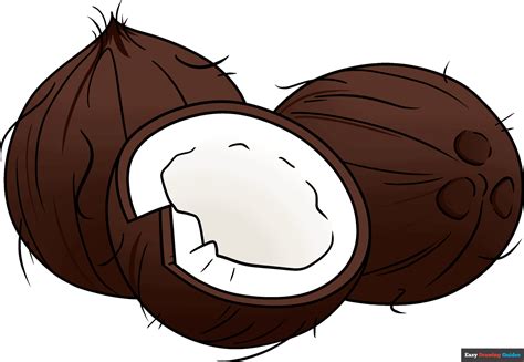 Coconut Fruit Drawing