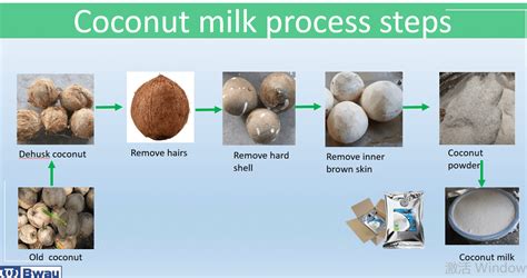 Coconut Milk Making Process