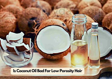  79 Gorgeous Coconut Oil For Low Porosity Hair Trend This Years