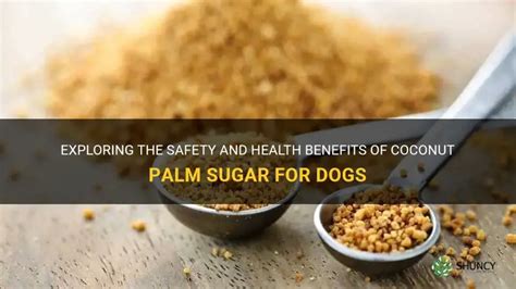 Coconut Sugar Dogs
