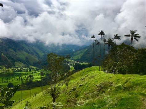 Cocora Valley Viewpoint