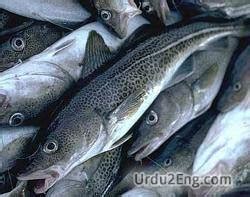 cod not available meaning in urdu