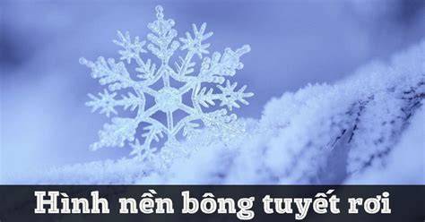 Những hình ảnh tuyết rơi đẹp nhất