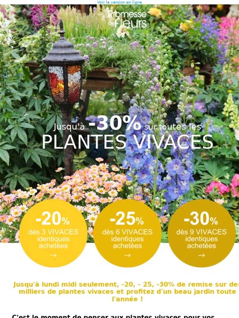 +14 Code Promesse De Fleurs Latest