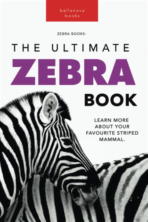 Code Promo Zebra Book