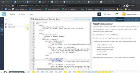 Codehs Highlight The First Item