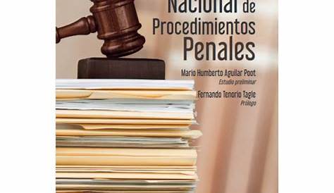 Código Nacional De Procedimientos Penales / Edición 2022 | Envío gratis