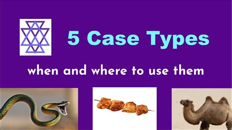 coding case types
