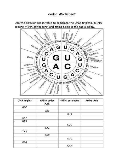 10 Tips For Finding The Codon Table Worksheet Answer Key In 2023