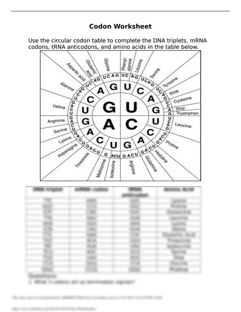 Codon Chart Answer Key