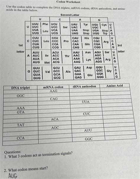 Codon Chart Questions