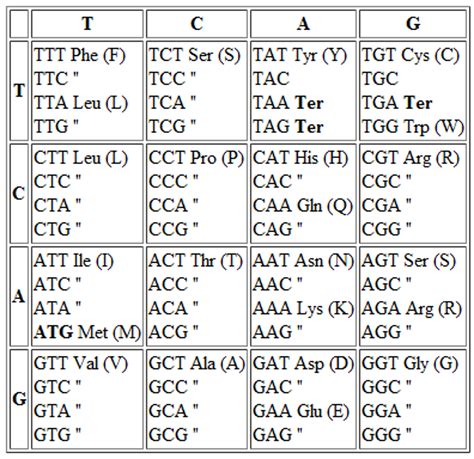Codon Chart Ttc