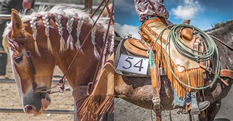 cody wyoming horse sale 2022