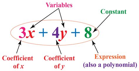 coefficient definition math term