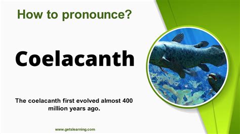 coelacanths pronunciation