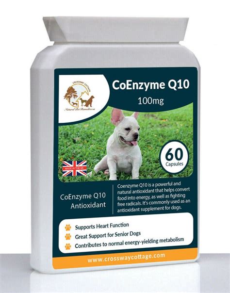 coenzyme q 10 for dogs