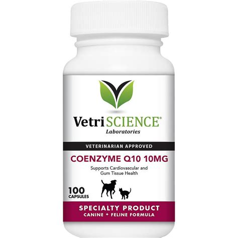 coenzyme q dose for cat