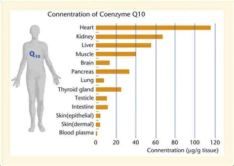 coenzyme q10 benefits weight loss