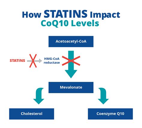 coenzyme q10 dose statin