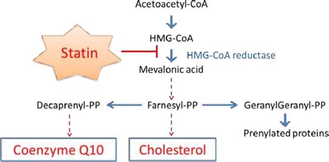 coenzyme q10 statins