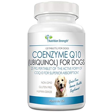 coenzyme q10 ubiquinol for dogs