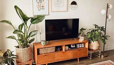 Coffee Table And Tv Stand Ideas Boho