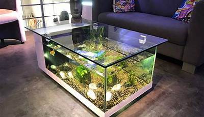 Coffee Table Fish Tank Ideas