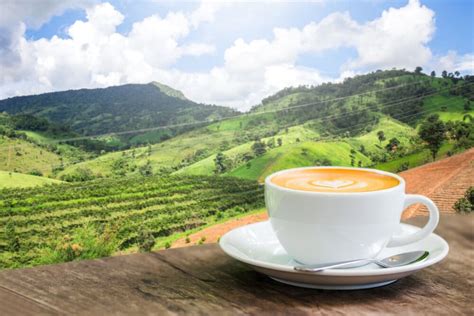 Coffee At High Altitude