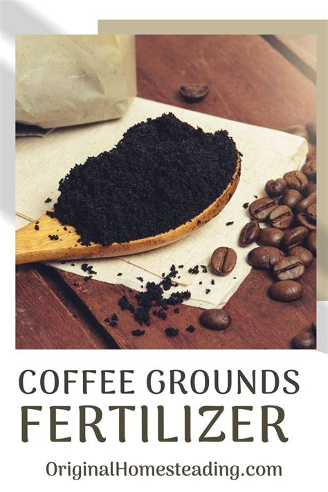 Coffee Beans Garden Fertilizer