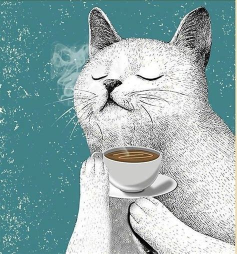 coffee cat drawing